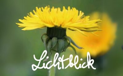 lichtblick