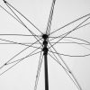 lin-dai-3aGXgOSNXy0-unsplash
