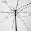 lin-dai-3aGXgOSNXy0-unsplash