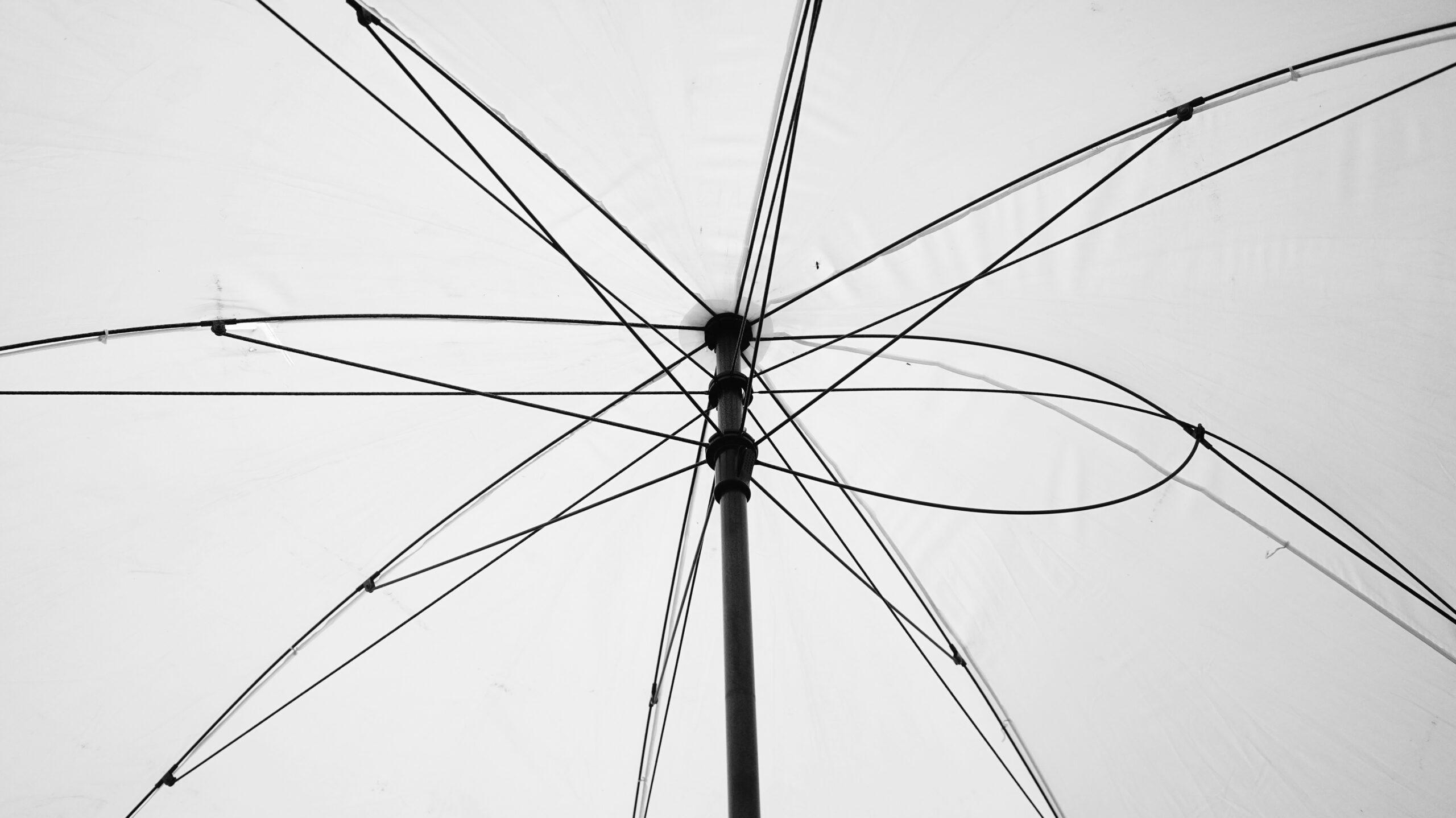 lin-dai-3aGXgOSNXy0-unsplash